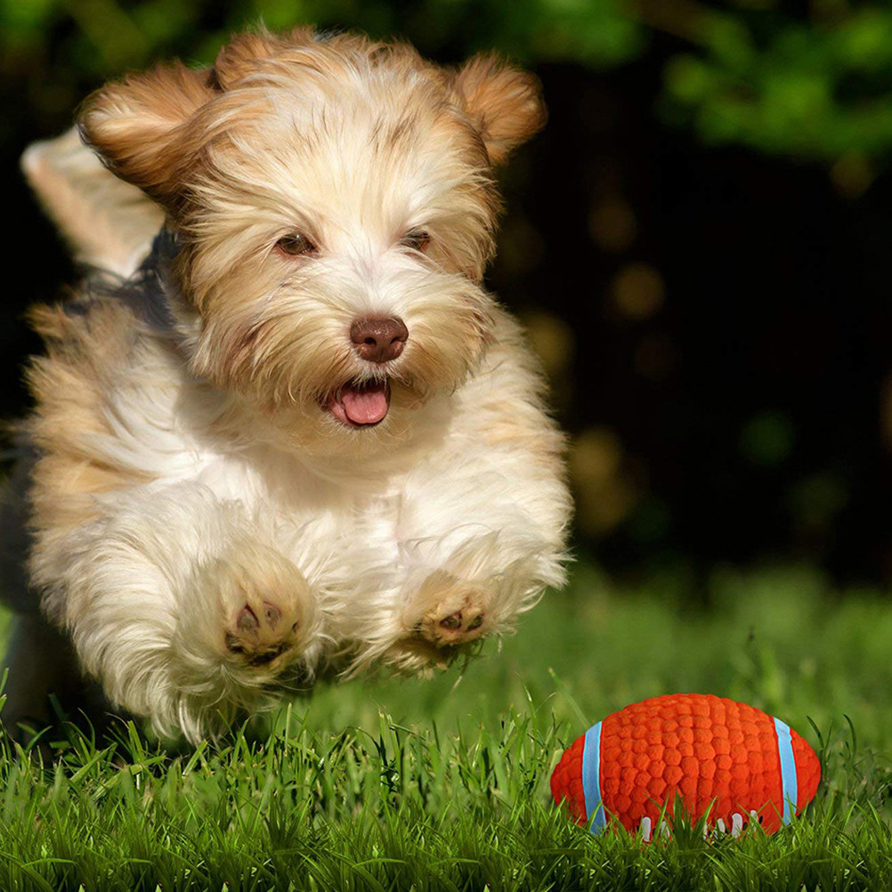 2 sztuki piszczących piłek do  – Rugby Training Ball recenzja i cena